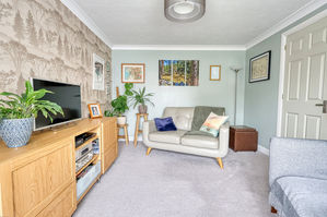 Lounge- click for photo gallery